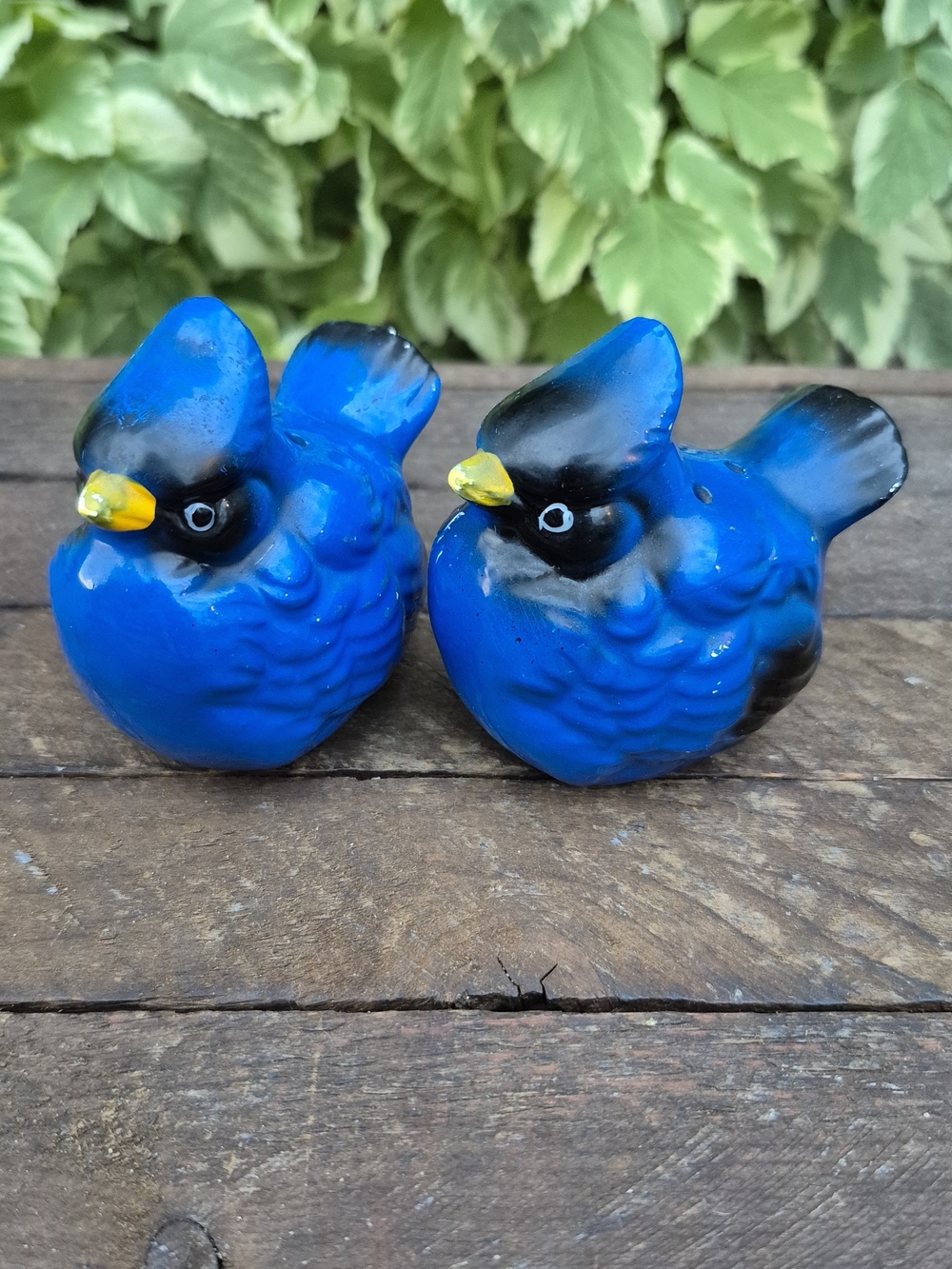 Vintage Ceramic Blue Jay Salt & Pepper Shakers Set